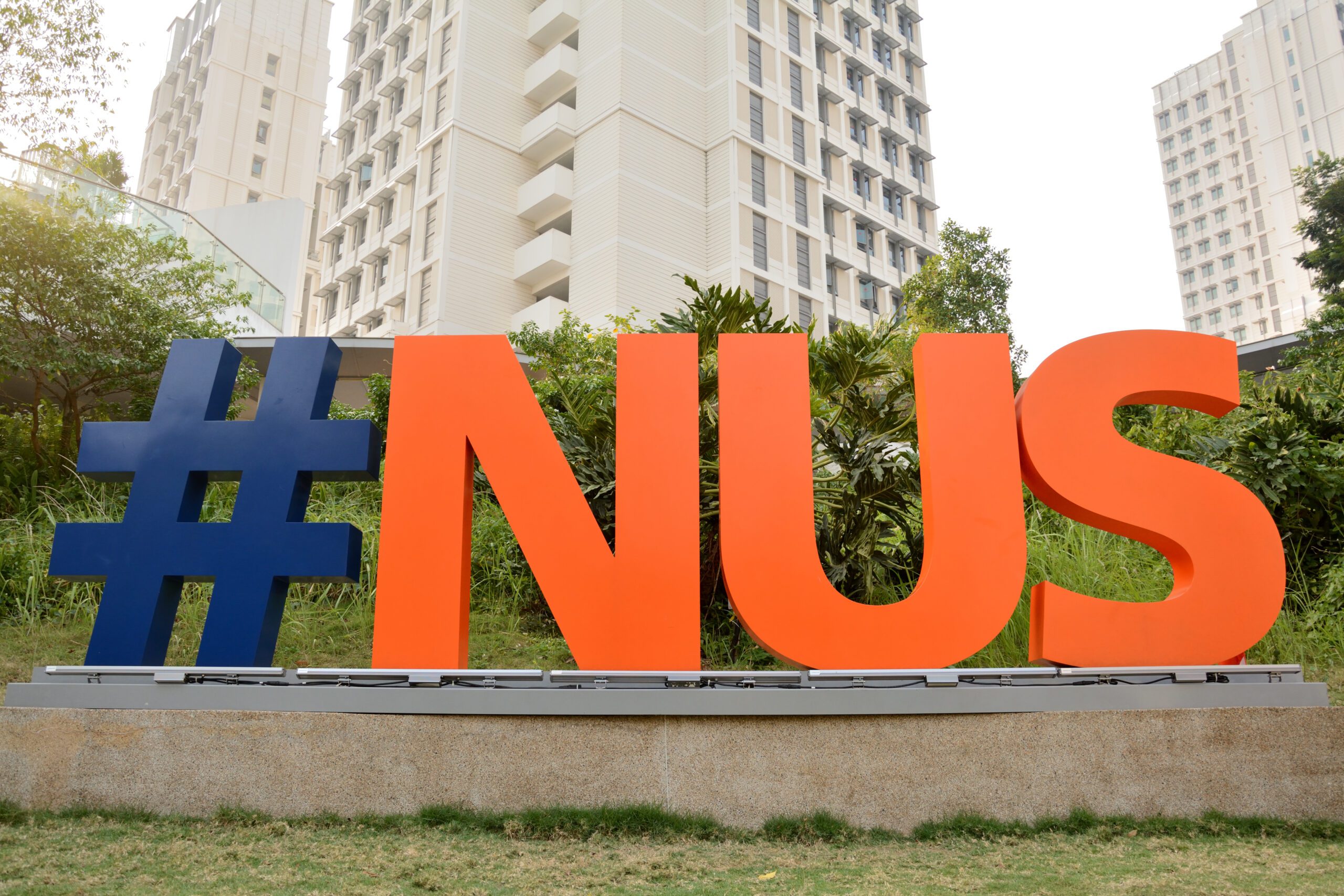 Nutgraf Projects National University Of Singapore NUS 