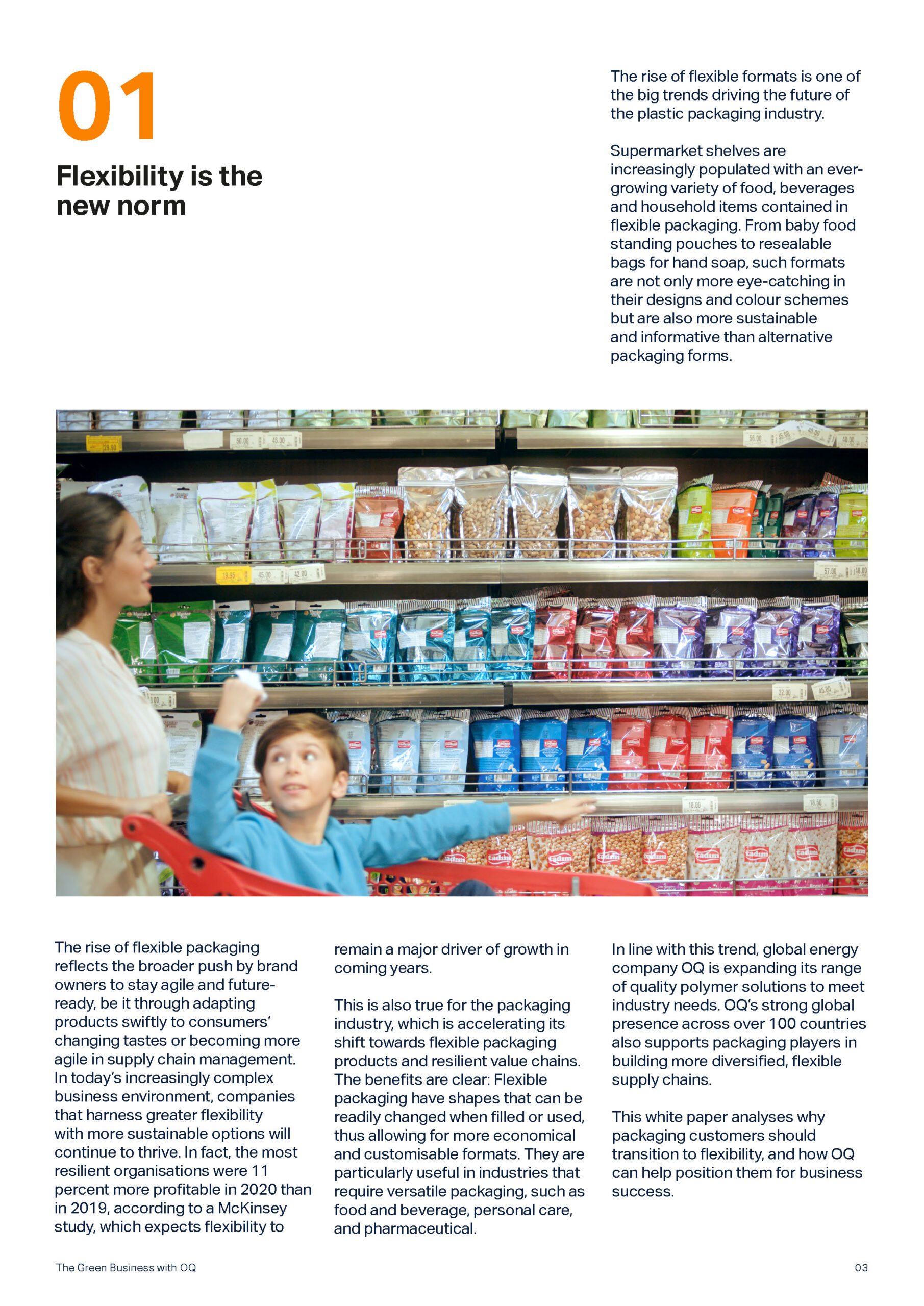 White-Paper-Flexible-Packaging-Final-18-Jan-2023_Page_3-scaled